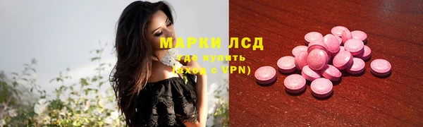 ГАЛЛЮЦИНОГЕННЫЕ ГРИБЫ Балахна