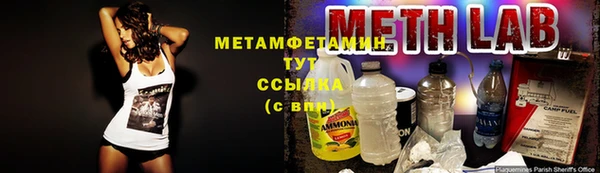 ГАЛЛЮЦИНОГЕННЫЕ ГРИБЫ Балахна