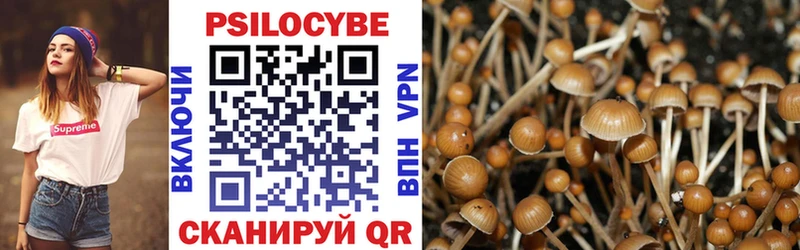 Псилоцибиновые грибы MAGIC MUSHROOMS  МЕГА вход  Северо-Курильск 